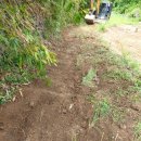 사리농장 이미지