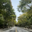 단양청소년수련관 수영장 이미지