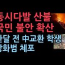 전국에 동시다발 산불, 국민 불안 확산...한달 전 중국인 교환학생 4건 방화 체포 이미지