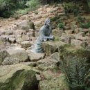 겟세마니동산 이미지