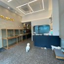 더 빛나개 이미지