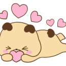 쏘이마루 이미지
