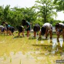 조안초등학교(병설) 이미지