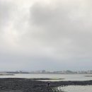 다모리네 이미지