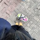 갑작스럽겠지만 일본인 남자친구가 생겼습니다