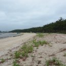 봉대들물횟집 이미지