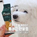 (주)준펫 | 강아지 입냄새 제거 플라고 3D 스케일링껌 꿀고구마 신메뉴출시