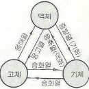 냉동기초 - 압력,열 이미지