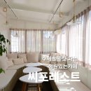 새홍익유치원 | 파주 운정 카페 씨 포레스트 후기 정원있는 수제초콜릿 맛집
