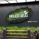 오크라 민박 | 2023 시골언니 프로젝트: [제주 제주시] 씨앗 되는 시간 - 자기 삶의 창조자들 3기 참여 후기!