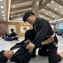 진영코리아 | 김해시 진영읍 주짓수 – 또지코리아 주짓수 진영점, 2025년 마지막 대회를 향한 30일