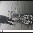 또대박 티스토리