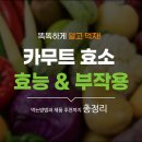 카무트 효소 효능과 부작용 먹는법까지 총정리 이미지