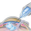 눈사랑안과의원 이미지