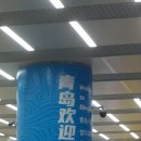 돈워리퍼피 | 칭다오환잉워!!