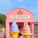 아일랜드 | 포천 허브아일랜드 핑크뮬리 후기🩷(25.10.31.기준) 가을여행지 추천🍁