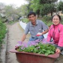 아름다운농장 이미지