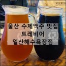 트레비어 일산해수욕장점 | 울산 동구 수제맥주 맛집 술집