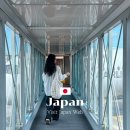 반지 PC(인-253) | 비짓재팬 웹 등록 방법 간사이공항 입국심사