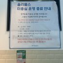 [전주동물병원] 17살 노령견 동물병원 | 치과 | 심장초음파 | 전주 올리몰스동물메디컬센터 방문후기