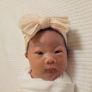 와이엘산후조리원 | 둘째 와이엘산후조리원 9박10일 후기 추천+ 퇴소3일차