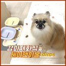 강아지 화식 프리미엄 자연식 레이앤이본 습식사료 수제사료