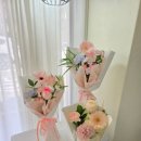 미플레르