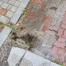 분당 중세갤러리에서 사주 본 후기 (소름주의)