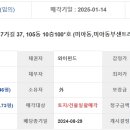 숭인로(남측) 이미지