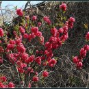 까치울역 2번 출구 이미지