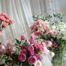 어반가든스튜디오 이미지