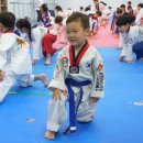 경희대안화태권도장 이미지