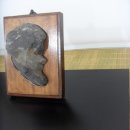 동천수변생태공원 이미지