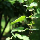 오하농장 이미지