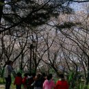 안덕계곡 앞 4 이미지