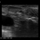 원스동물병원 이미지