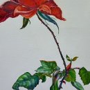 (주)경 진 이미지