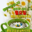 에이스환경 - 강서구 화곡로35길 23-48 | 에이스환경
