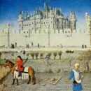 월은농장 이미지