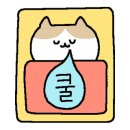 이씨엘 이미지