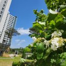 최강파르세나공인중개사사무소 이미지