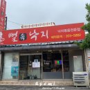 뻘속낙지 이미지