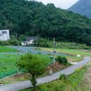 오대산힐링빌리지영농조합법인 | [평창여행] 오대산힐링빌리지 - 평창 아이들과 가볼만한 곳, 평창숙소 한번에 해결할 수 있는 곳 / 별...