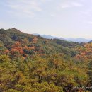 남산 이미지