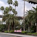 구림우리의원 이미지