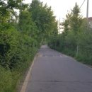 태평테니스장 이미지