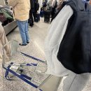 워킹독 | 입독 후 일주일 (독일 워킹 홀리데이 ~DAY+6) [독일 열쇠로 문 따는 꿀팁, 문 여는 꿀팁]