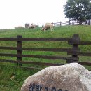 강릉목장 이미지