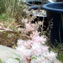 둘리농장 이미지