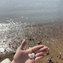 어  리마을회관 | 전남 고향사랑마을 체험 후기-진도 미식 체험(GO!향 마실단)